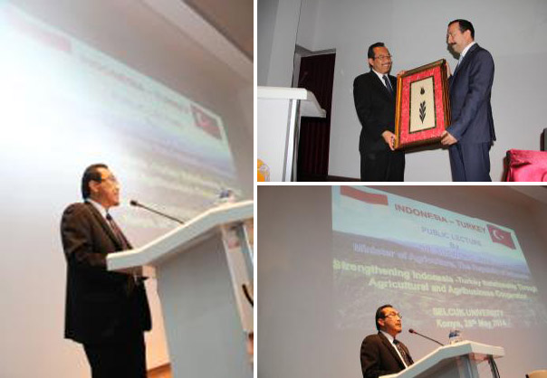 Turki Dapat jadi Hub Ekspor ke Eropa, Afrika